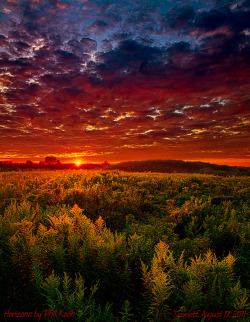 sitoutside:   Scarlett   by  Phil~Koch  