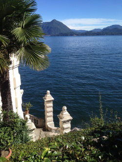 allthingseurope:  Isola Bella, Italy (by Francine Vernez) 
