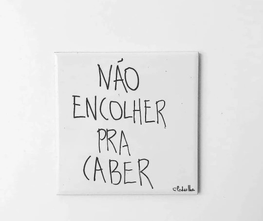 seu-bobo-da-corte: