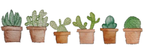 transparent cactus | Tumblr