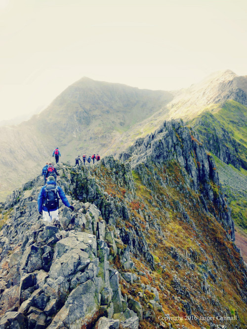 wanderthewood:Crib Goch, Snowdonia, Wales by jasperchisnall