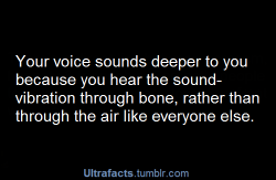 grotesque-arabesque:  fiona-so:  a-bitter-form-of-refuge:  angry-moth-noises:  freckledtrekkie:  teamfreekickass:  paging-doctorfaggot:  IS THAT WHY YOUR VOICE SOUNDS SO DIFFERENT ON THE PHONE  MY VOICE IS HIGHER THAN THIS  OH MY GOD  NO WONDER WHY I