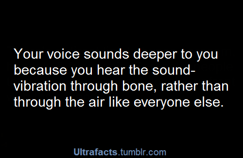 paging-doctorfaggot:IS THAT WHY YOUR VOICE SOUNDS SO DIFFERENT ON THE PHONE