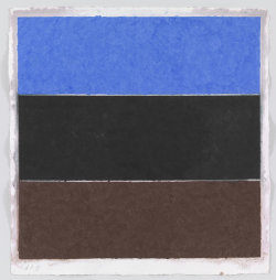 apeninacoquinete:  Ellsworth Kelly | Colored