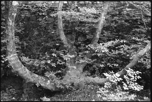 Corso Avanzato di Fotografia Forti di Genova Camera Pentax ME Super | Film Rollei RPX400 