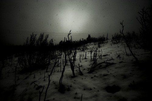 loic-arnaud:  “dans la cache”, 2011 Loïc Arnaud 