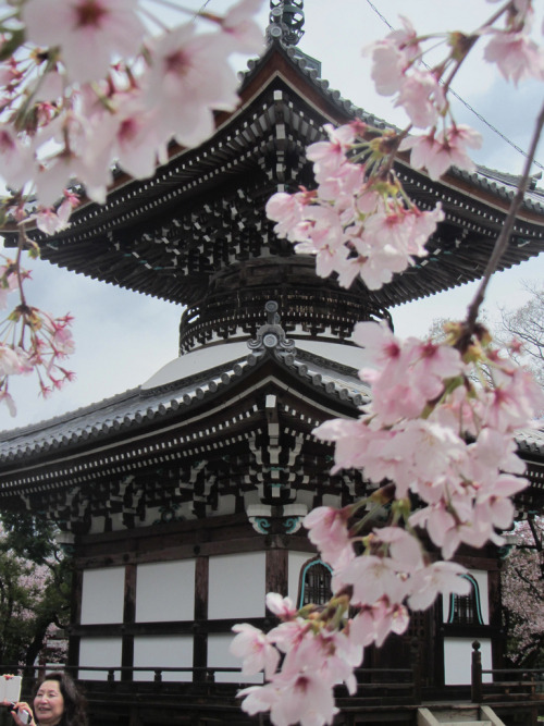 westeastsouthnorth:  Japan  i have to go to Japan before i die.. such an amazing place …