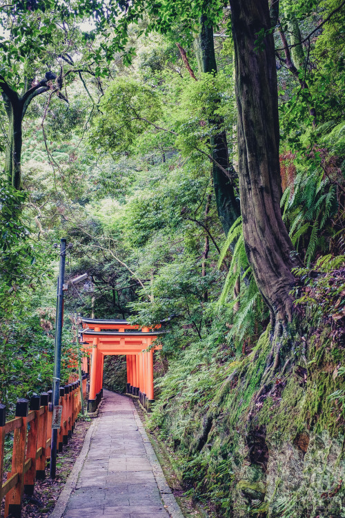 fushimi inari taisha