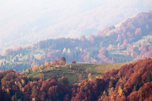 expressions-of-nature:Autumn in Western Ukraine by Dima