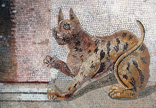 uvasapphira:An ancient Roman cat mosaic in the National Archaeological Museum in Naples, Italy.
