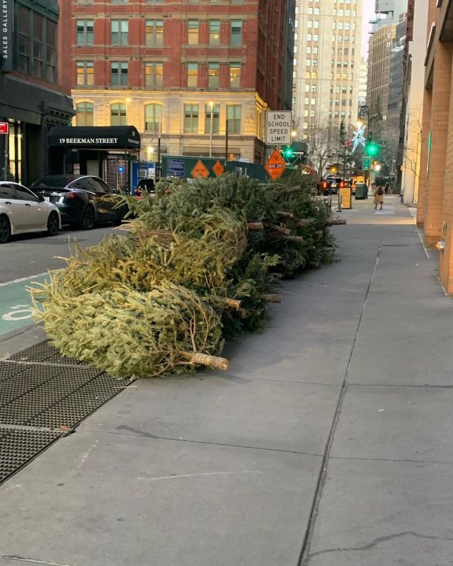 Friend submission #deathtochristmas number 13 . . . . . #death #deathtochristmas2021 #christmas #christmastree #holidayseason #holidays #grinch #ny #soho #nyc #manhattan #photooftheday #holidaycheer (at The Beekman, A Thompson Hotel) https://www.instagram.com/p/CYo2OEsrBY_/?utm_medium=tumblr #deathtochristmas#death#deathtochristmas2021#christmas#christmastree#holidayseason#holidays#grinch#ny#soho#nyc#manhattan#photooftheday#holidaycheer