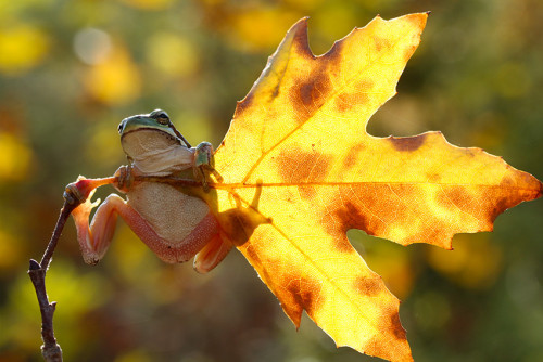Hold on Photo by mehmet karaca