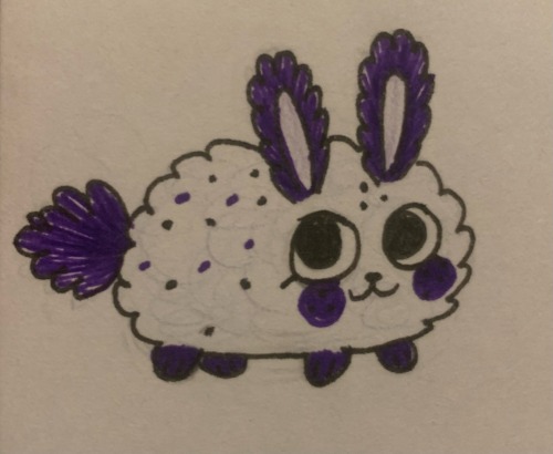 Daisy the SeaBunny