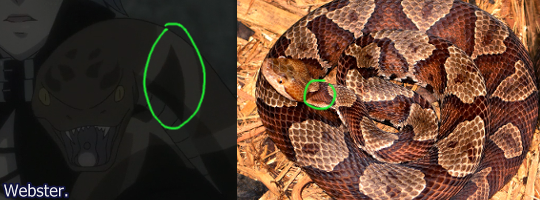 Snake’s Snakes: A Guide