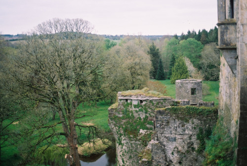jacindaelena:  Ireland by beefolksociety 