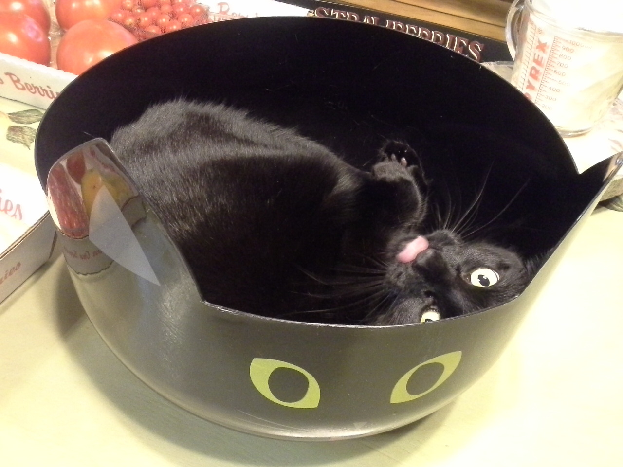 We got my mother a black cat Halloween candy bowl...