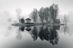  Through the Misty Air Adam Dobrovits 