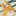 grandvolleyking:Sending out your most powerful pokemon 