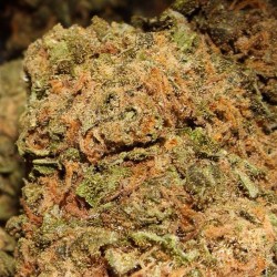 weedporndaily:  Someone help me climb this mountain #cannabis #weedporndaily #stayregular #superstoners by @therealwpd