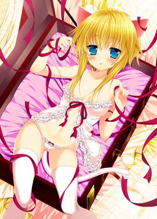 h-aka-ecchi:  Reblogged from All Boobies, All The Time™ 