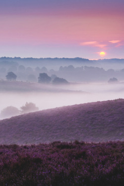 lsleofskye:Dreamy morning | Mario Visser