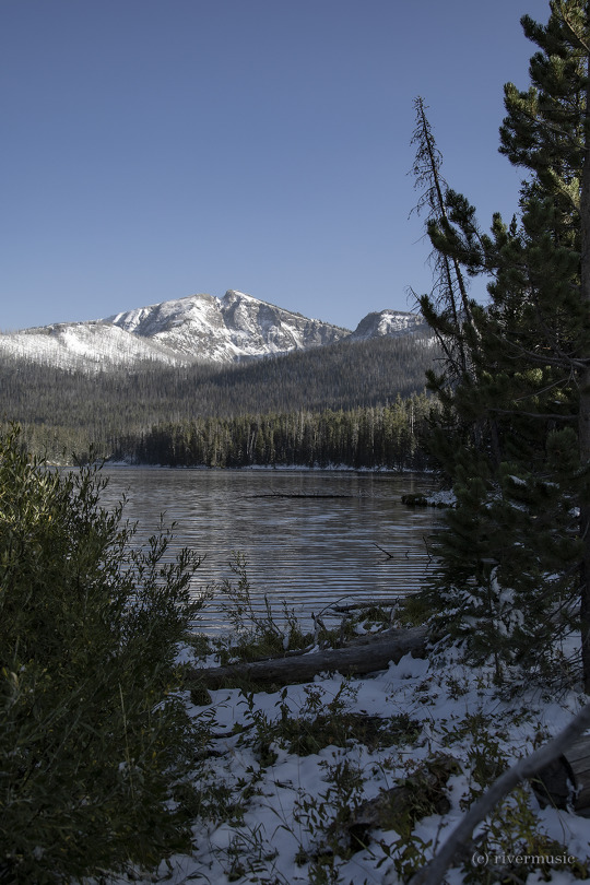 The Snowfall is Fleeting: (c) riverwindphotography, September 2020