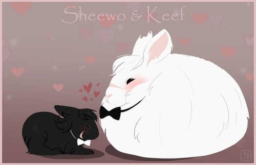 sheith bun wedding ❤