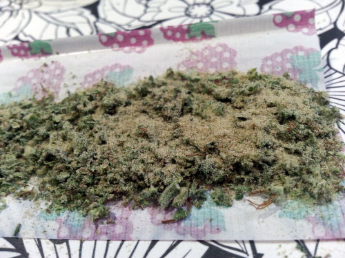 etfingeredme: Rolled a nice kiefy joint today