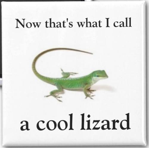 Zazzle.com is having a sale today (May 3, 2017) on fridge magnets so I “designed” 8 of them in an ho