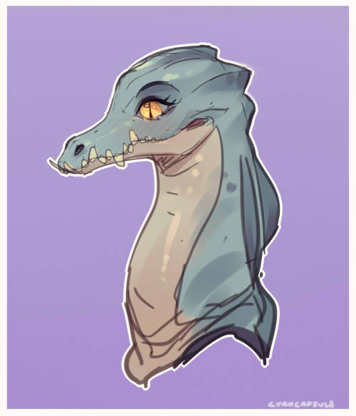 cyancapsule:Here are a buncha crocodiles/gators/gharial sketches I’ve been posting over on my twitter recently! ( Sketches were originally sent to my patrons way way back!) I’ve always thought crocodiles are really cool even if it seems they kinda