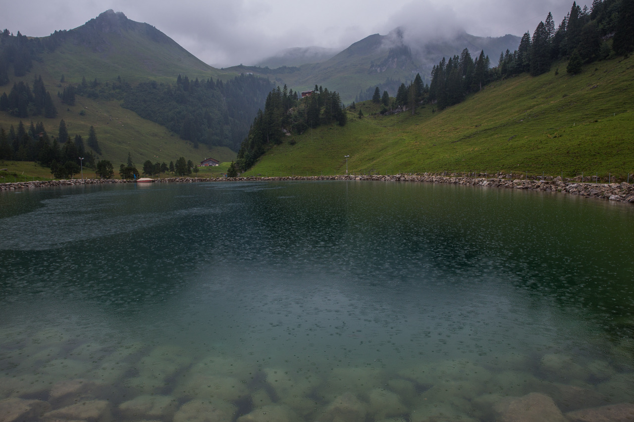 samhorine:  switzerland - august 2014