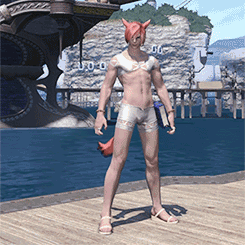 rambeltilx:  serenading-solitude:  etroschampion:  livvyplaysfinalfantasy:  weemiji:  This game is so good you guys.  Bikinis and armored diapers for everybody! Also, this happened:   Actually sobbing at that last GIF.  oh my god why don’t I have this