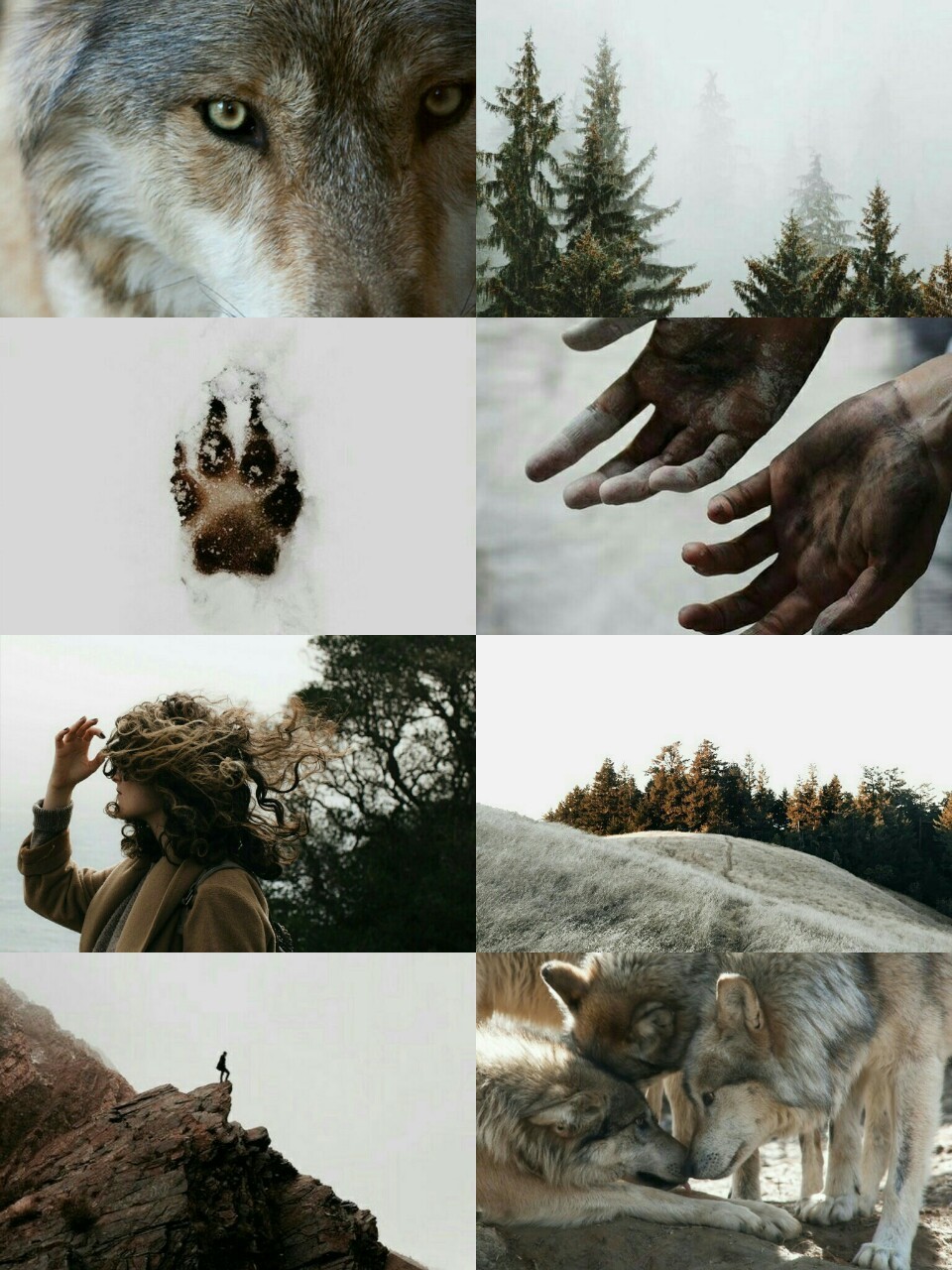 A Safehaven for Kin and Therian — [ Witchy Timber Wolf Therian