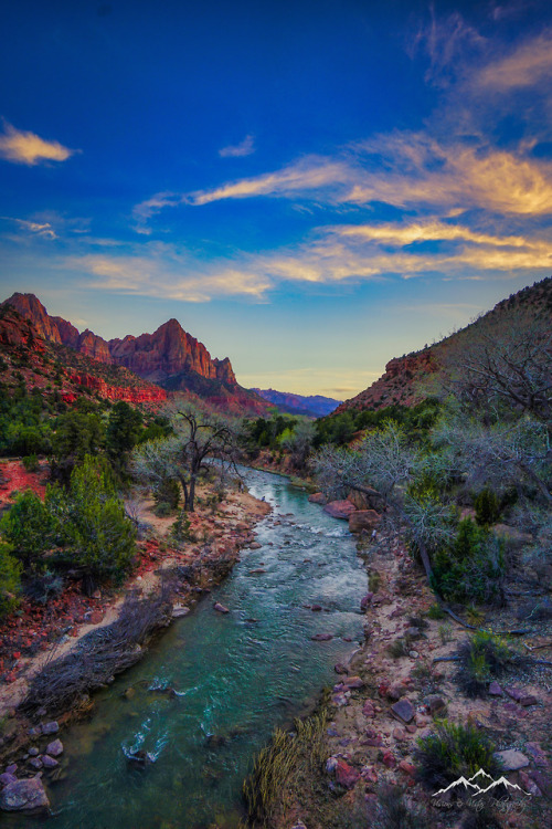 visionsandvistas - The Watchman - Zion National Park 