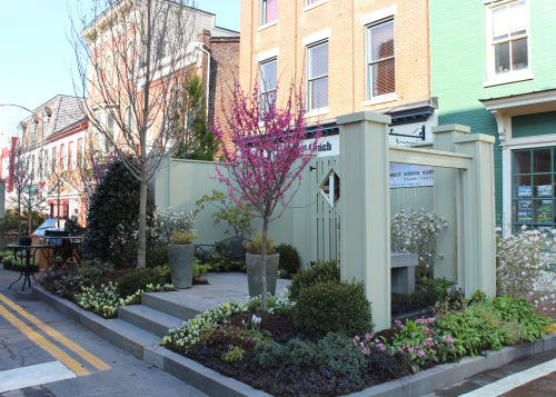 Simply gorgeous weekend for the Leesburg Flower and Garden Festival.  A super fun festival for 