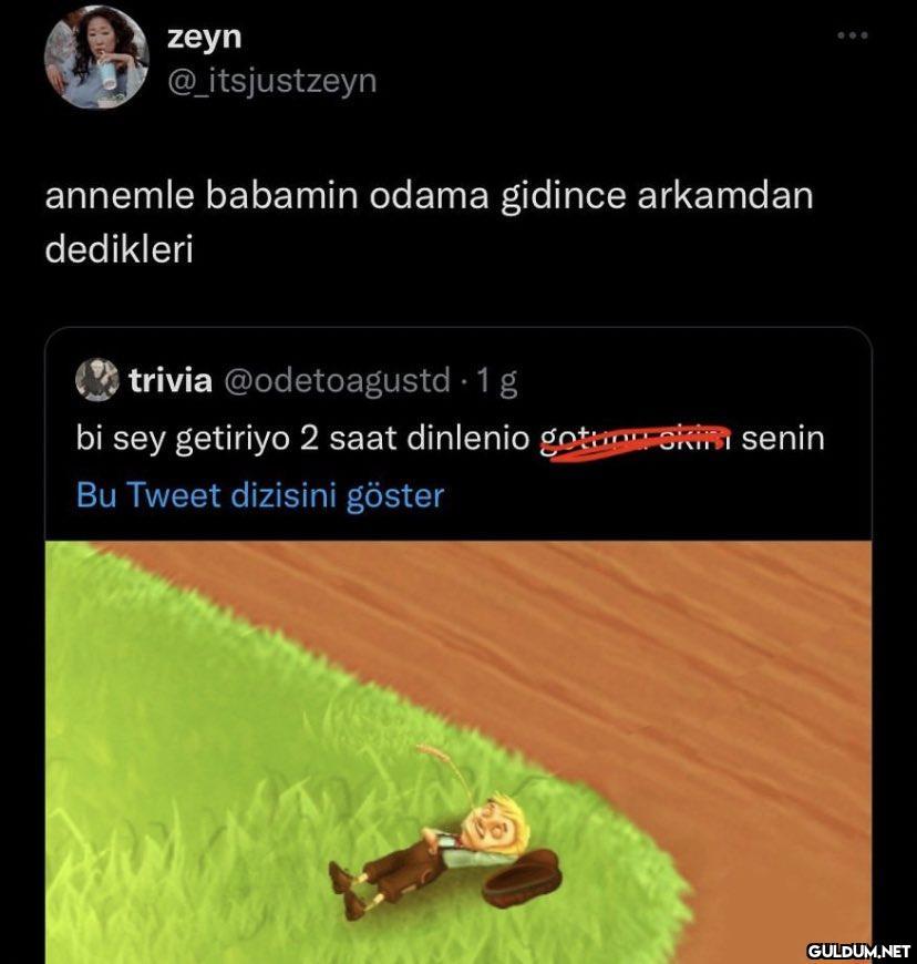 zeyn @_itsjustzeyn annemle...