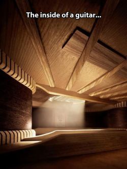 falloutboygirlthing:alonsysweetie:ehrstudio:The view from inside a guitar.I would like to build a house with architecture exactly like this.Yes^