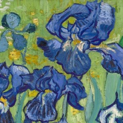 lonequixote: Irises (detail) by Vincent van Gogh (via @lonequixote) 