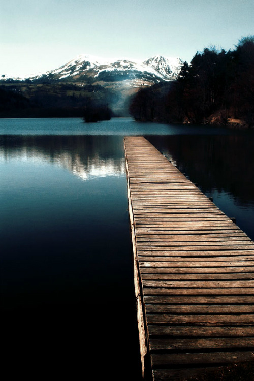 words-of-emotion:   