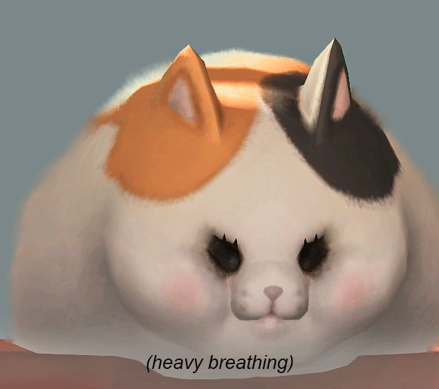 heavy breathing cat gif Tumblr