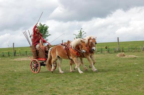 tighearnmhas:beautifully authentic La Tène period Celtic chariot, made by the LEUKI Association