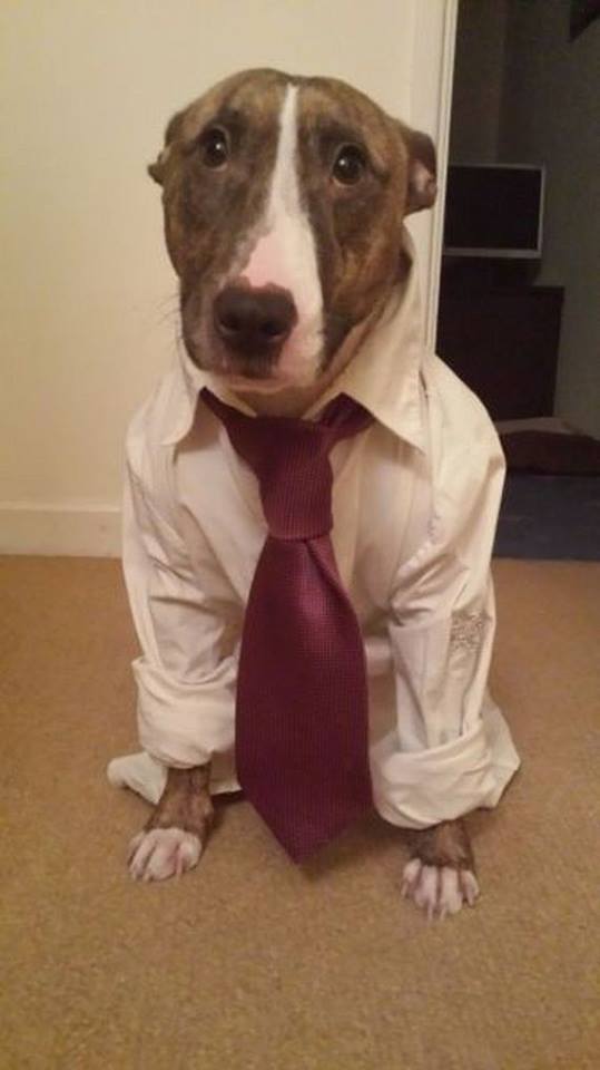 cute-overload:  I realize that next week I will be at work!http://cute-overload.tumblr.com