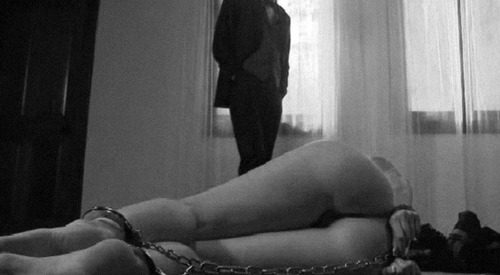 Desires and So Much More