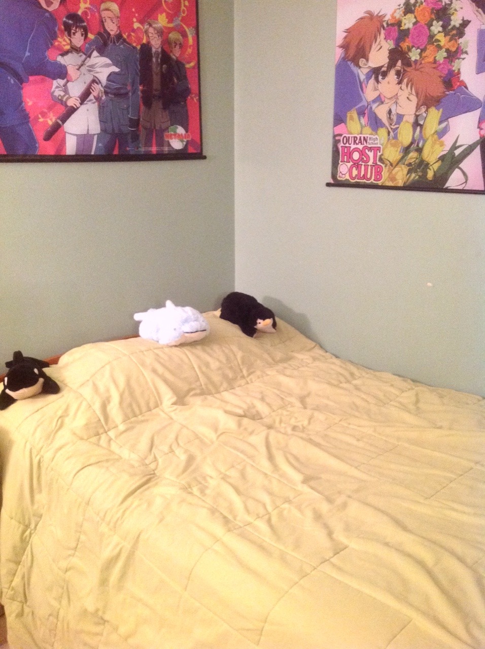 sleepingtsundere:  Not pictured; my sister’s side/disaster area, my sister.  I