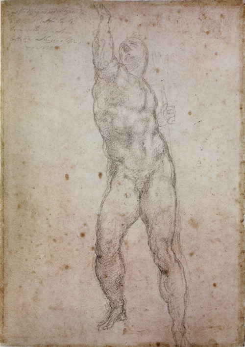 michelangelogallery: Michelangelo Figure Drawing