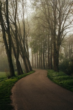 sublim-ature:  NetherlandsRobert-Paul Jansen