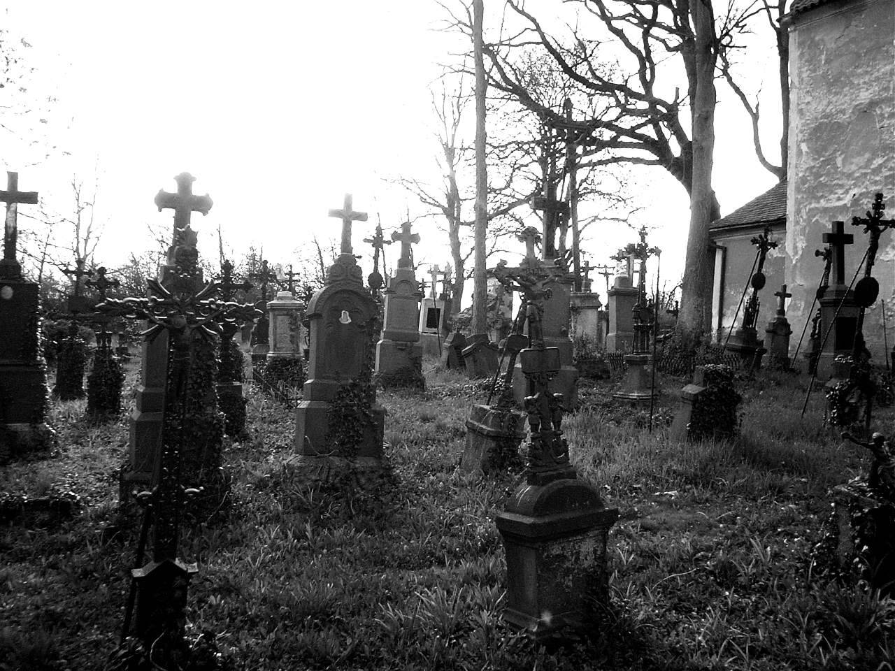jorgerocha78:  gRaveYaRd by Hrbitovanda 