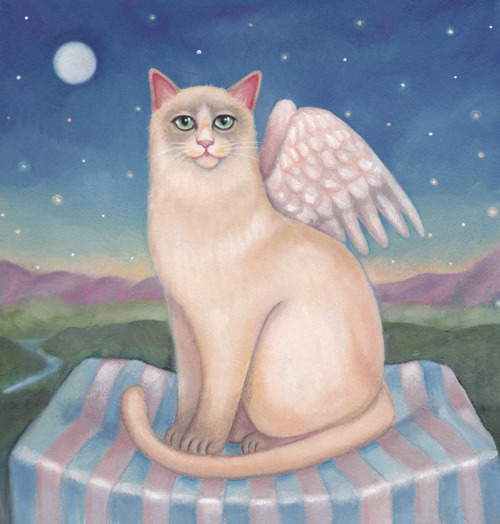 Angel Kitty, 8x8″ oil on paper - Arabella Proffer