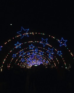 obviouskitten:  trail of lights, austin, tx