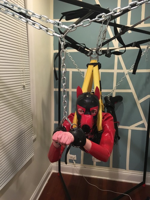 strugglepup:  Arf! New suspension set up is ready for action. Did a quick test run tonight to figure out the best way to go with it. It worked well  hooked up with an electro plug in and milked dry  thanks for a great time as always Alpha pup Delta